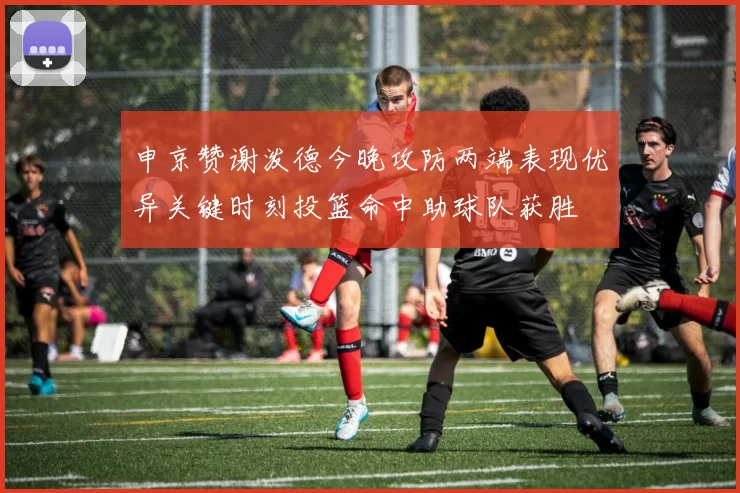 申京赞谢泼德今晚攻防两端表现优异关键时刻投篮命中助球队获胜
