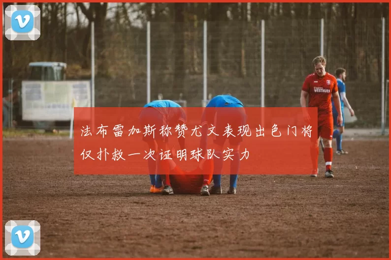 法布雷加斯称赞尤文表现出色门将仅扑救一次证明球队实力